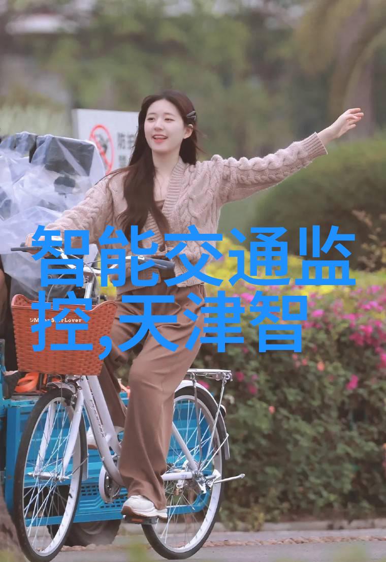 政策与市场两翼齐飞 智慧交通领域安企表现抢眼
