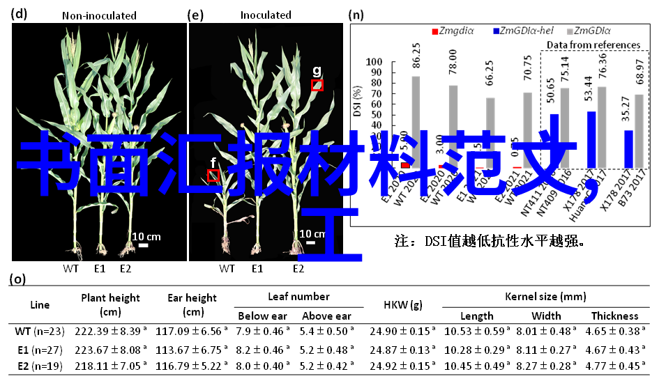 智能家居欲智能 莫忘中枢是网关